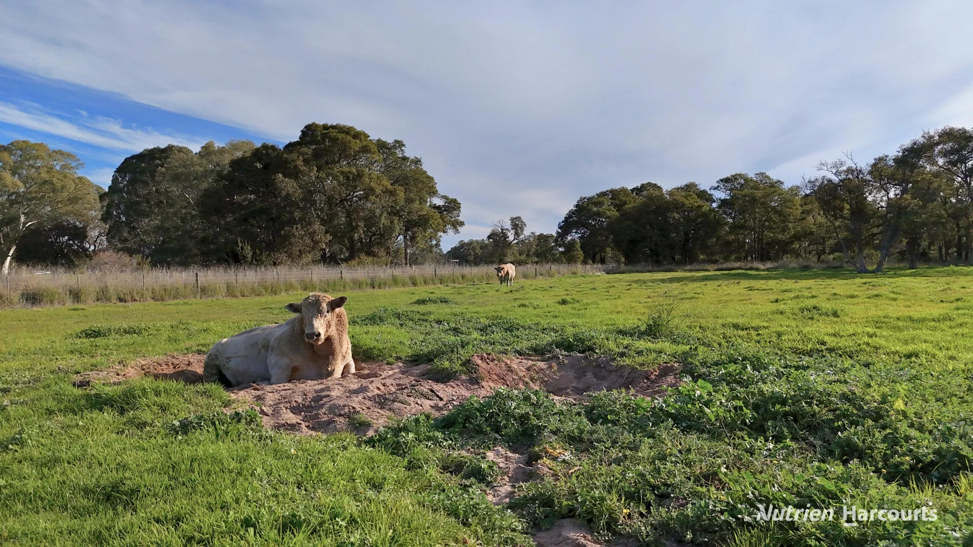 "Gracefield Park" - Image 3